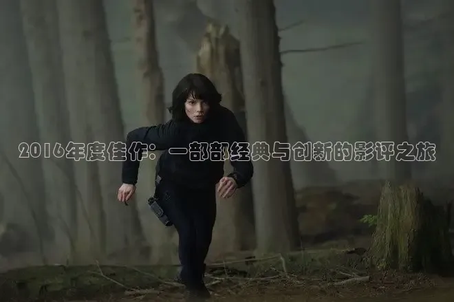 2016年度佳作：一部部经典与创新的影评之旅