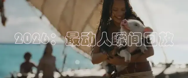 橘子视频免费观看电视剧大全